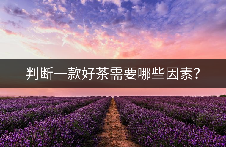 判斷一款好茶需要哪些因素？