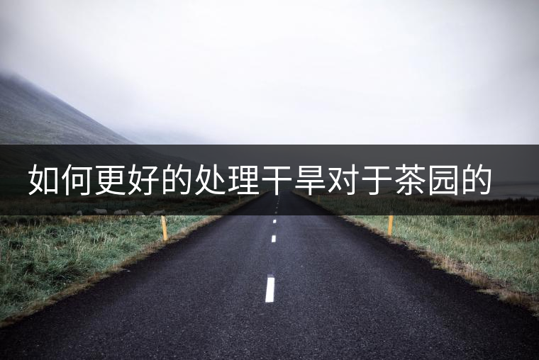 如何更好的處理干旱對于茶園的影響？
