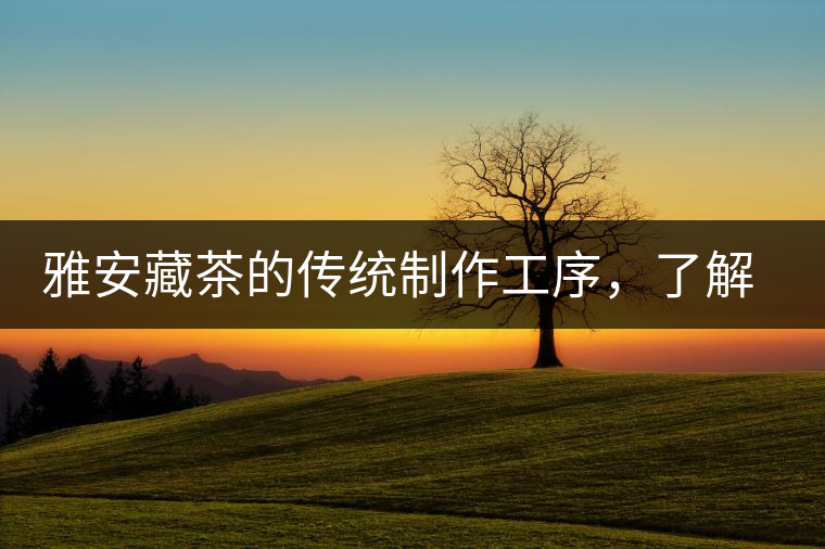 雅安藏茶的傳統(tǒng)制作工序，了解了傳統(tǒng)技藝才能更好的了解茶品！