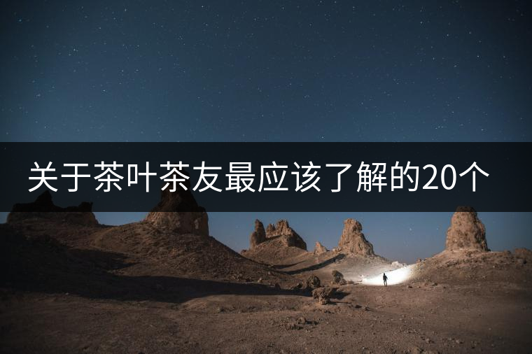 關于茶葉茶友最應該了解的20個問題