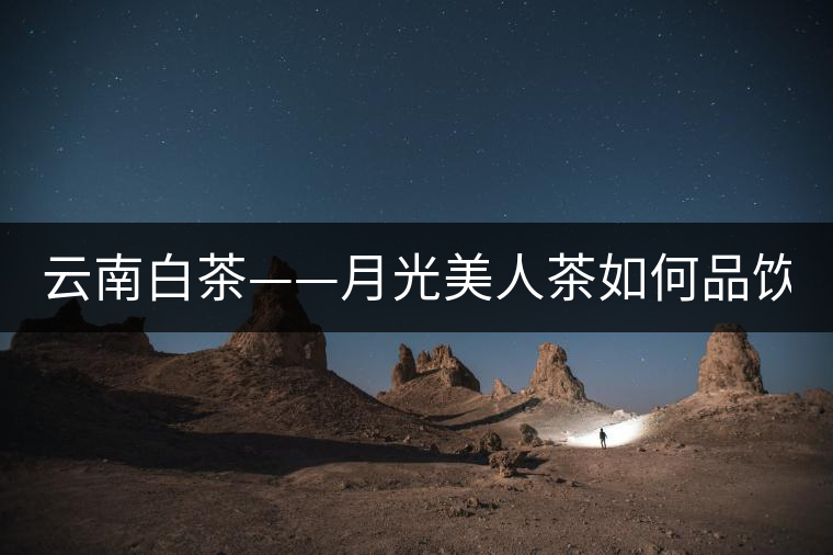 云南白茶——月光美人茶如何品飲？