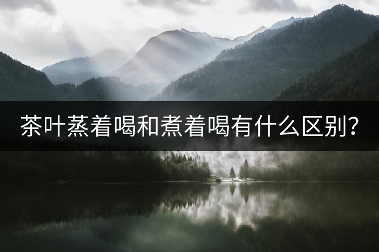 茶葉蒸著喝和煮著喝有什么區(qū)別？