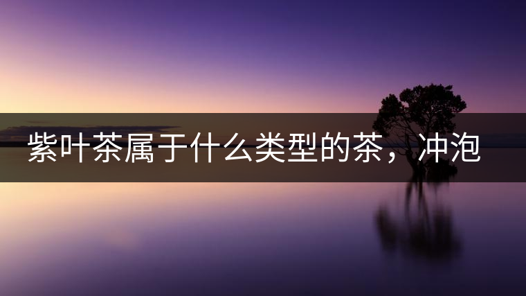 紫葉茶屬于什么類型的茶，沖泡需要注意什么？