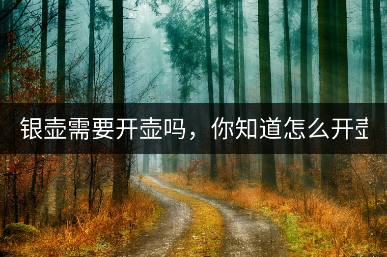 銀壺需要開壺嗎，你知道怎么開壺？