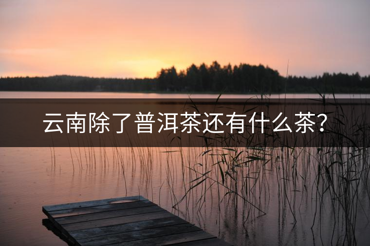 云南除了普洱茶還有什么茶？