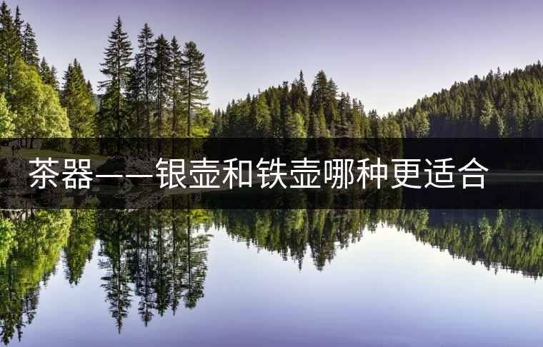 茶器——銀壺和鐵壺哪種更適合茶葉沖泡