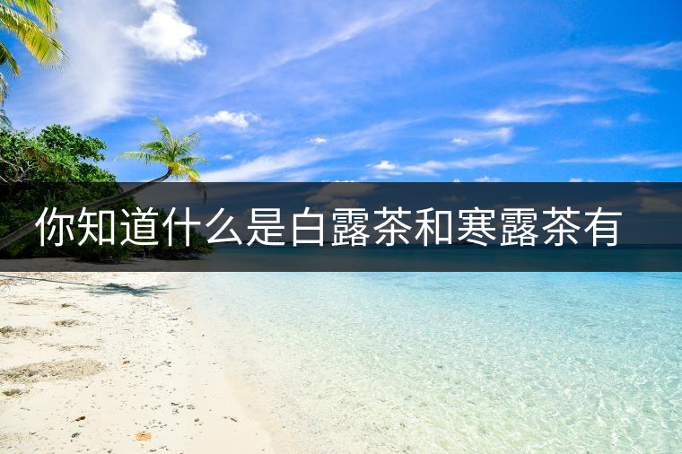 你知道什么是白露茶和寒露茶有區(qū)別嗎？