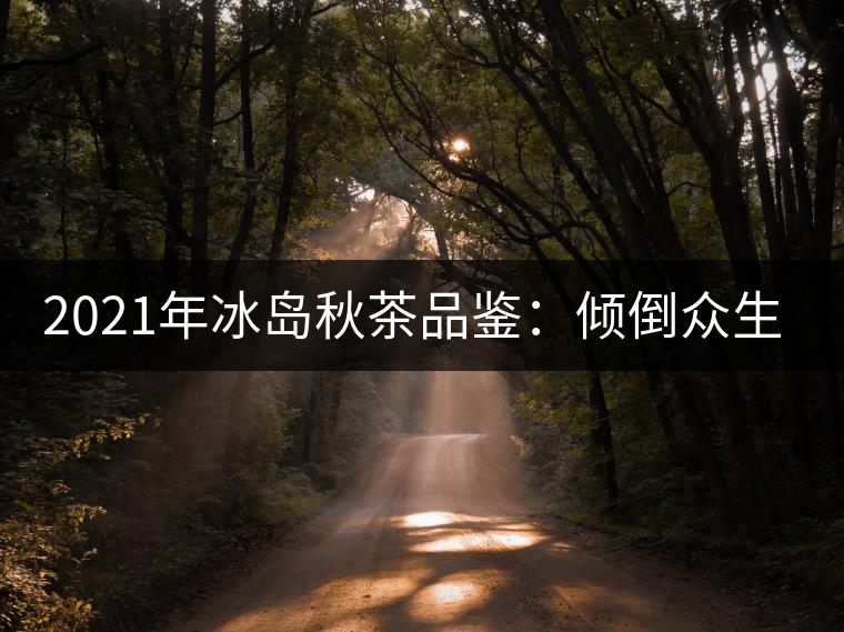 2021年冰島秋茶品鑒：傾倒眾生的“冰糖甜”