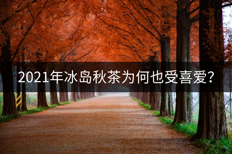 2021年冰島秋茶為何也受喜愛？