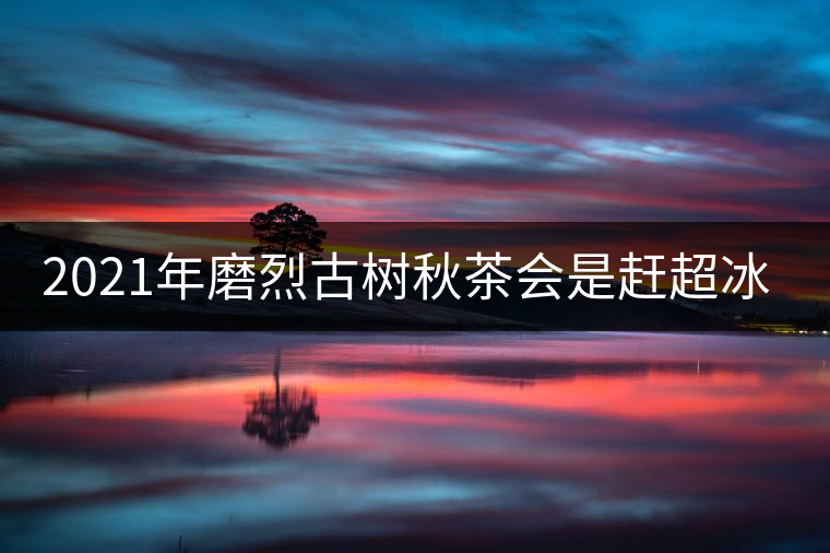 2021年磨烈古樹秋茶會是趕超冰島的存在嗎？
