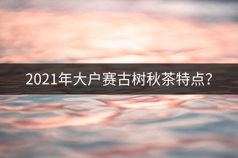 2021年大戶賽古樹秋茶特點(diǎn)? 2021年大戶賽古樹秋茶特點(diǎn)?
