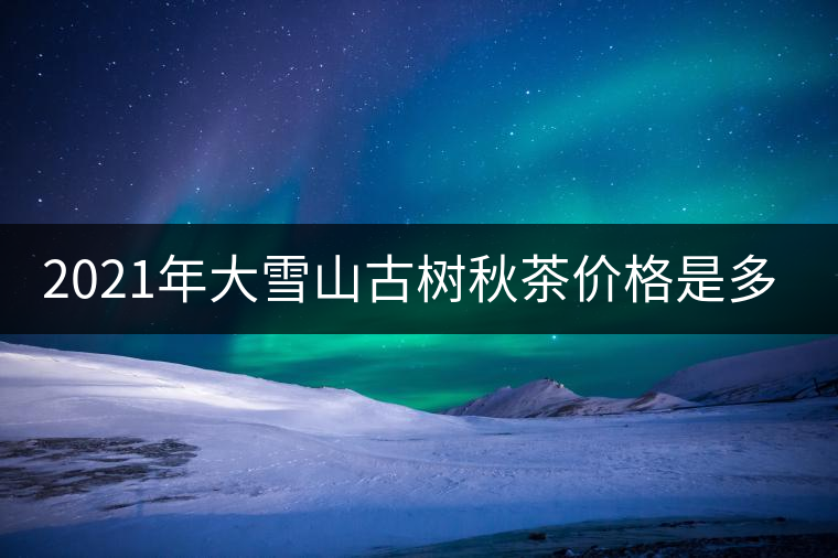 2021年大雪山古樹秋茶價格是多少？