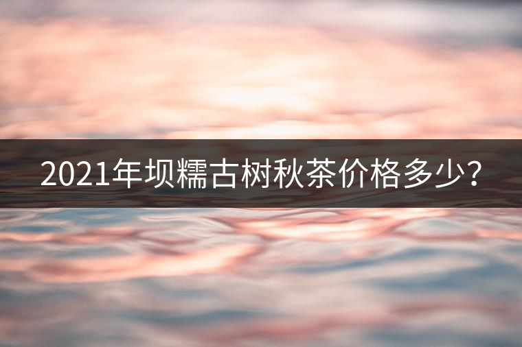 2021年壩糯古樹秋茶價格多少？