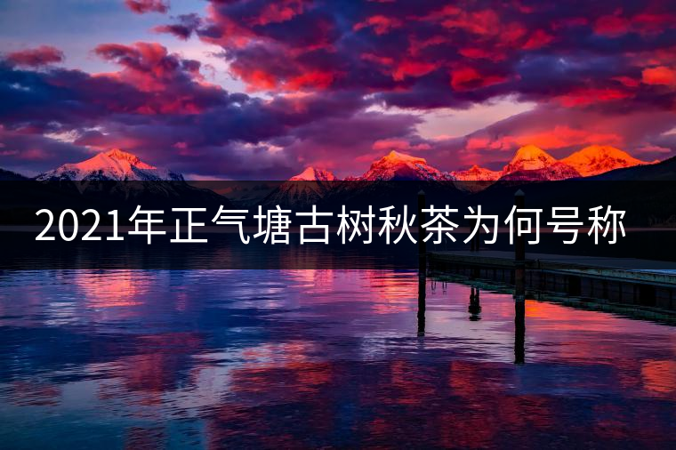 2021年正氣塘古樹秋茶為何號稱小冰島？