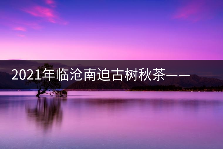 2021年臨滄南迫古樹(shù)秋茶——品質(zhì)僅次于冰島的茶山 2021年臨滄南迫古樹(shù)秋茶——品質(zhì)僅次于冰島的茶山