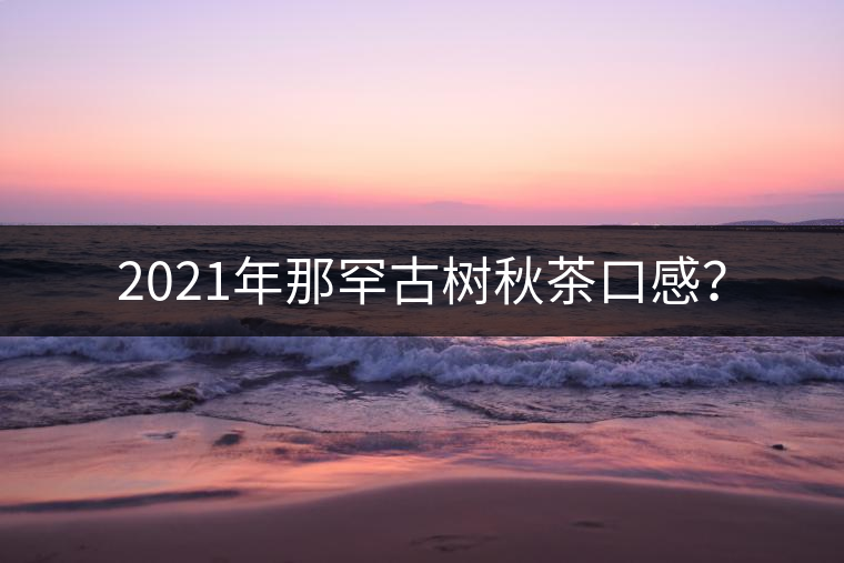 2021年那罕古樹(shù)秋茶口感？