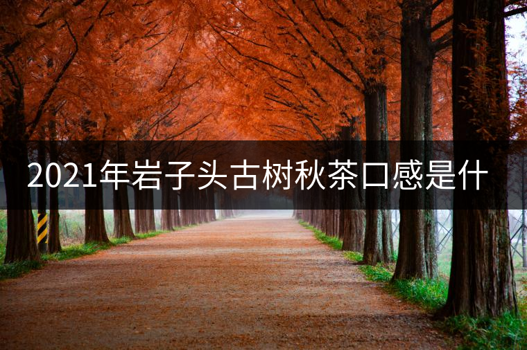 2021年巖子頭古樹秋茶口感是什么？