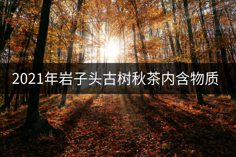 2021年巖子頭古樹(shù)秋茶內(nèi)含物質(zhì)可以和昔歸古樹(shù)毛茶相娉美·！