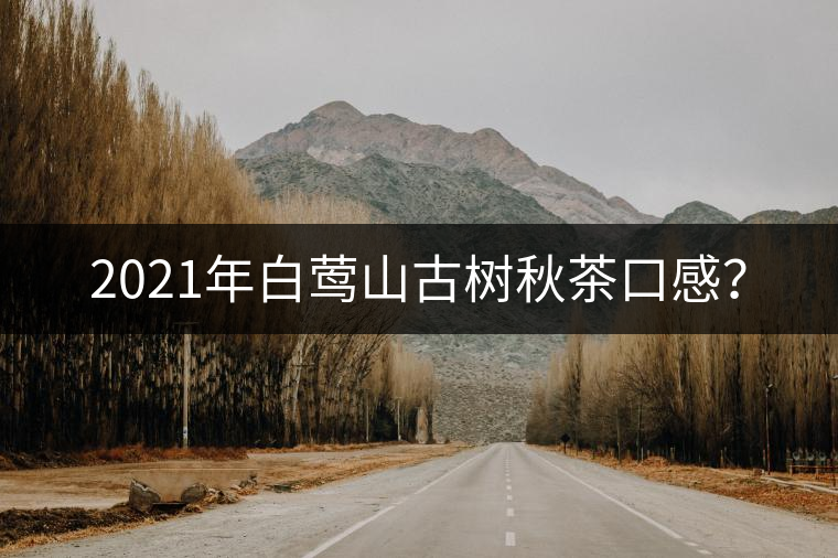 2021年白鶯山古樹秋茶口感？