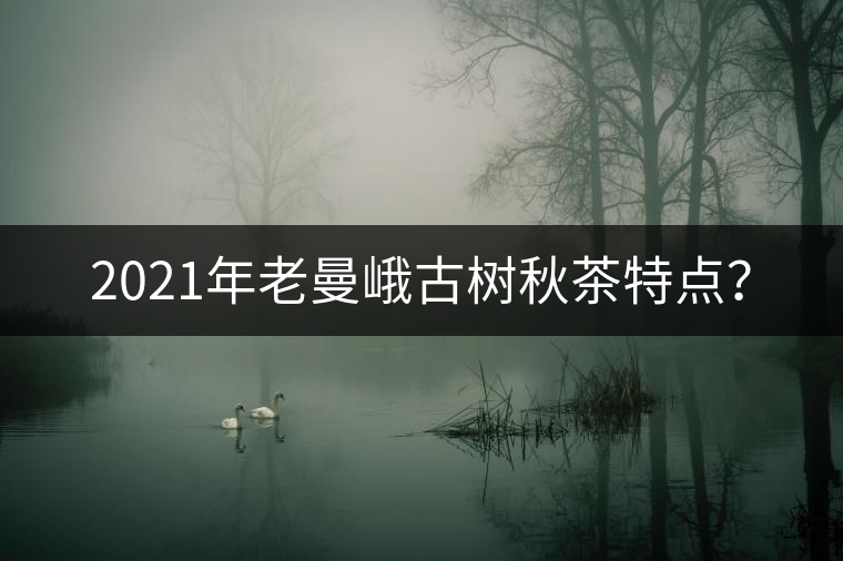 2021年老曼峨古樹秋茶特點？