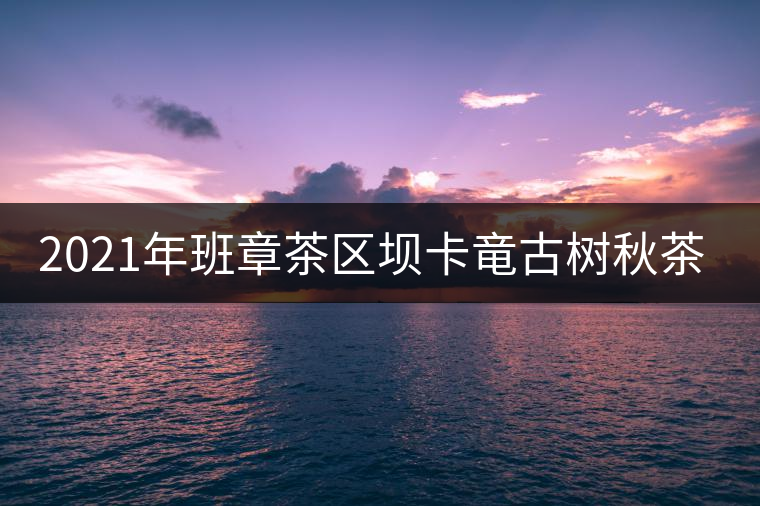 2021年班章茶區(qū)壩卡竜古樹秋茶多少錢一公斤？