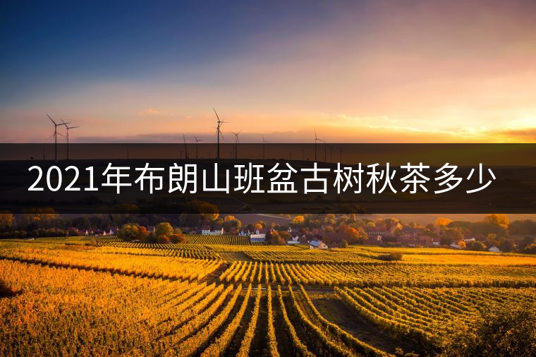 2021年布朗山班盆古樹秋茶多少錢一公斤？