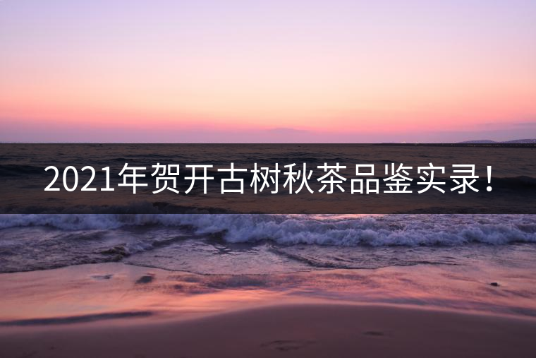 2021年賀開古樹秋茶品鑒實錄！