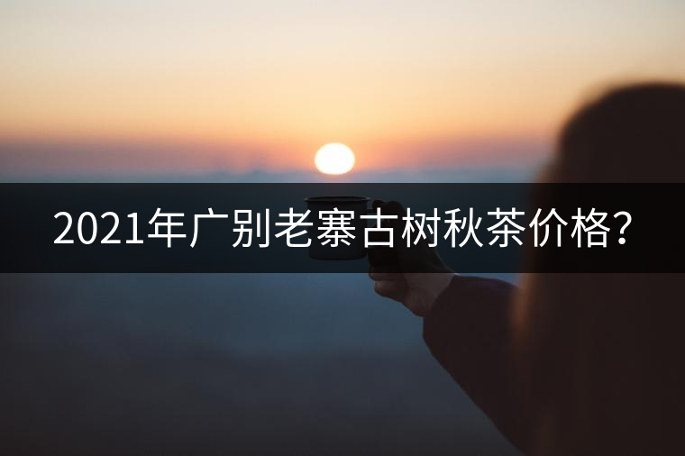 2021年廣別老寨古樹秋茶價格？