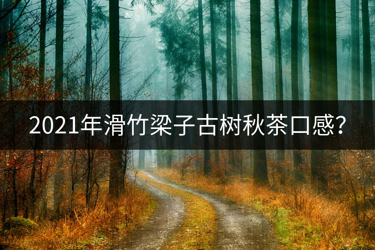 2021年滑竹梁子古樹秋茶口感？