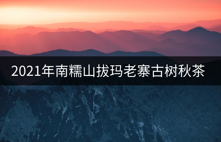 2021年南糯山拔瑪老寨古樹(shù)秋茶價(jià)格？