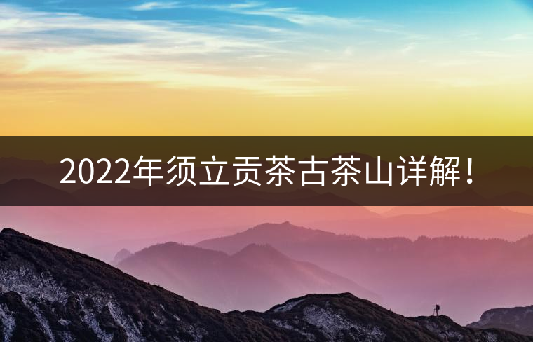 2022年須立貢茶古茶山詳解！