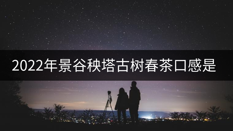 2022年景谷秧塔古樹春茶口感是什么？
