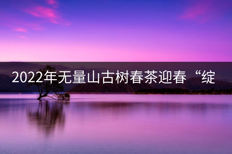 2022年無量山古樹春茶迎春“綻放”！