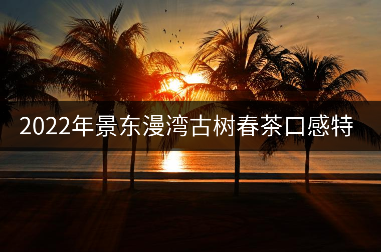 2022年景東漫灣古樹春茶口感特點？