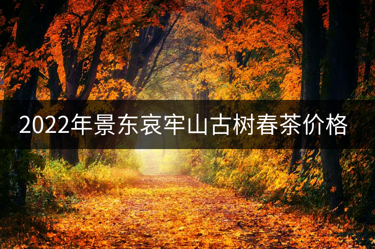2022年景東哀牢山古樹春茶價格多少？