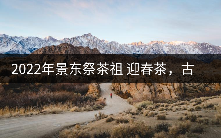 2022年景東祭茶祖 迎春茶，古樹春茶多少錢一公斤？
