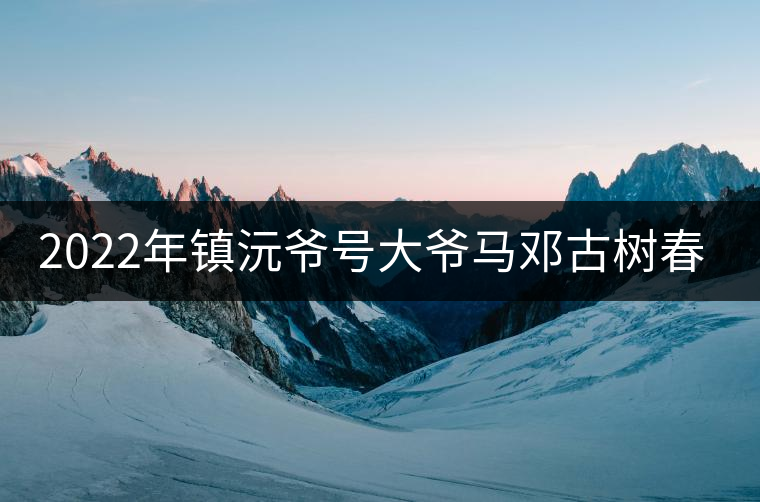 2022年鎮(zhèn)沅爺號大爺馬鄧古樹春茶特點(diǎn)？