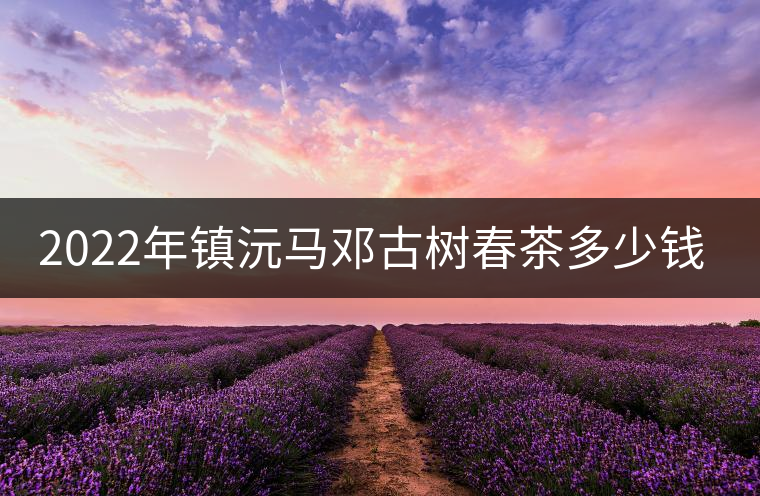 2022年鎮(zhèn)沅馬鄧古樹(shù)春茶多少錢一公斤？
