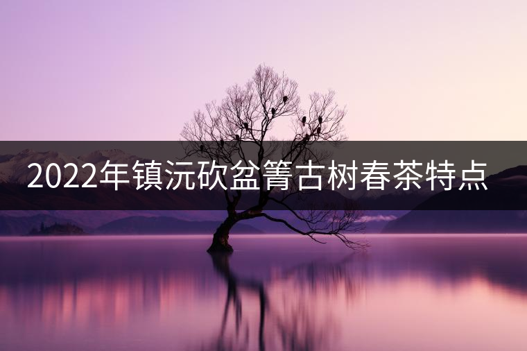 2022年鎮(zhèn)沅砍盆箐古樹春茶特點(diǎn)？
