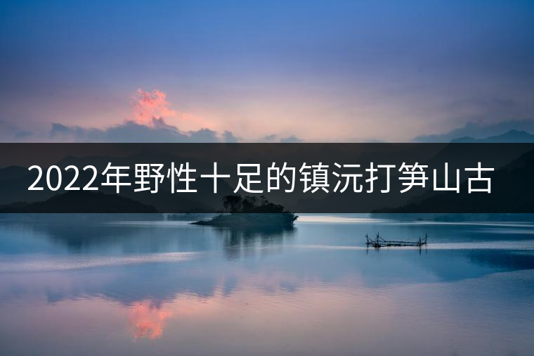 2022年野性十足的鎮(zhèn)沅打筍山古樹(shù)春茶！