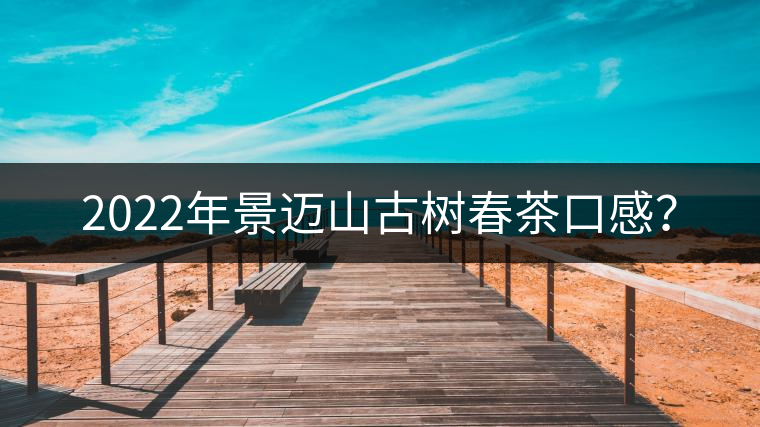 2022年景邁山古樹春茶口感？