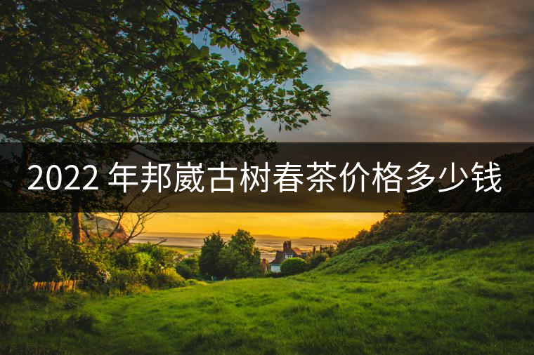 2022 年邦崴古樹春茶價(jià)格多少錢一公斤？
