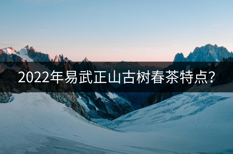 2022年易武正山古樹春茶特點？