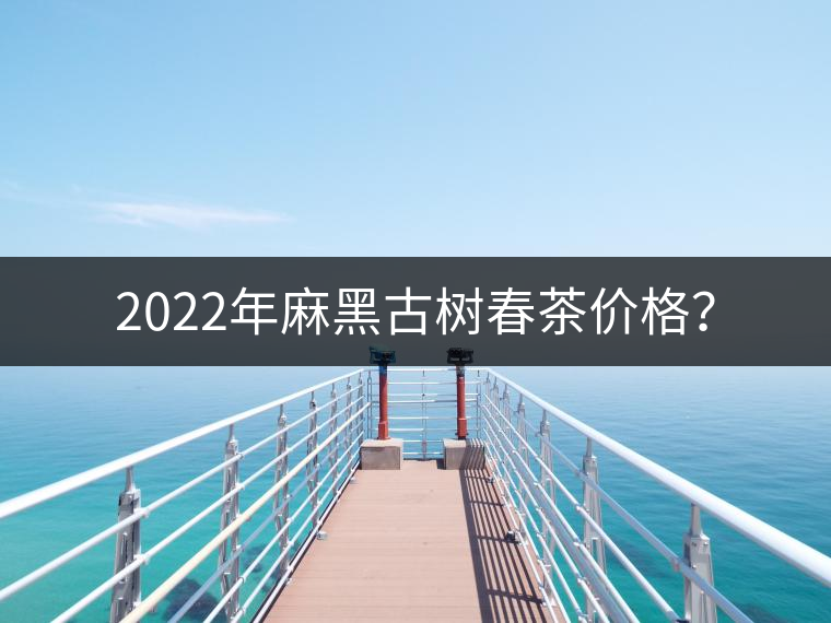 2022年麻黑古樹春茶價格？