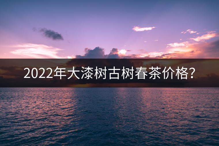 2022年大漆樹(shù)古樹(shù)春茶價(jià)格？
