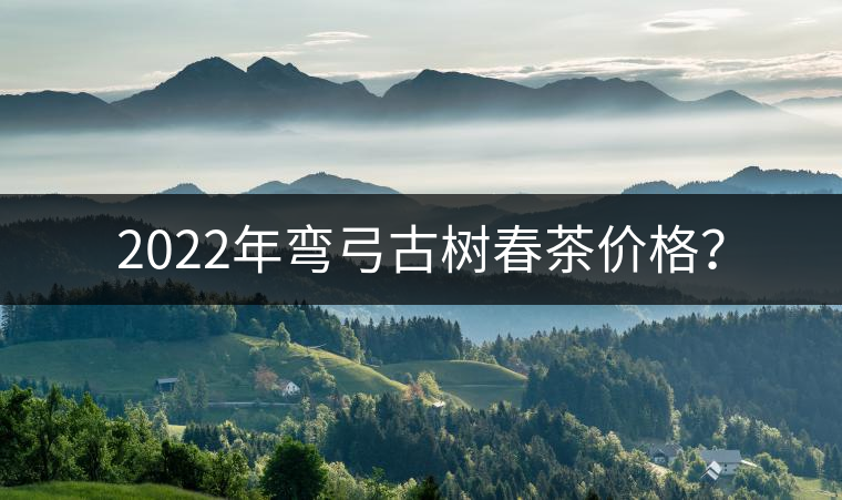 2022年彎弓古樹春茶價(jià)格？