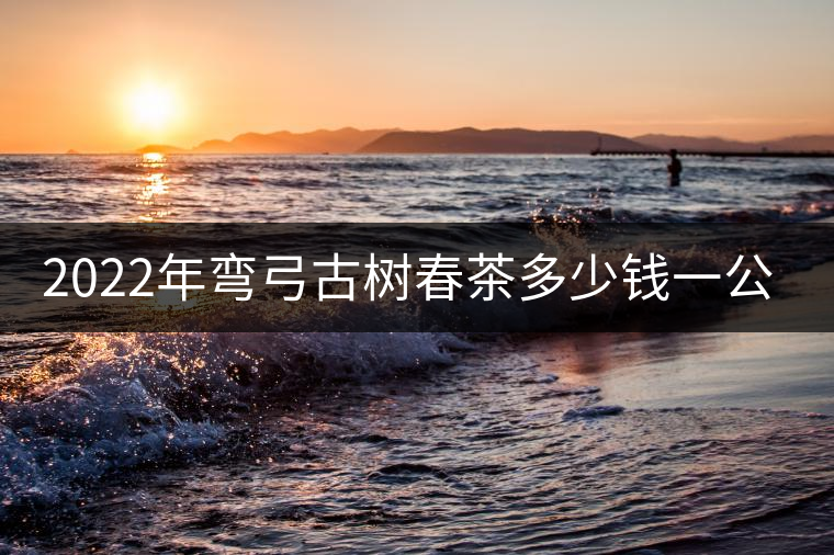 2022年彎弓古樹春茶多少錢一公斤？