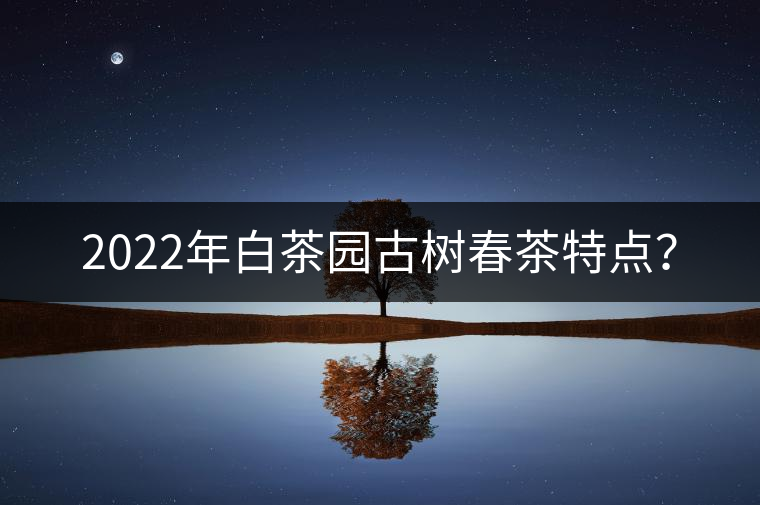2022年白茶園古樹(shù)春茶特點(diǎn)？