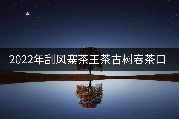 2022年刮風(fēng)寨茶王茶古樹(shù)春茶口感？