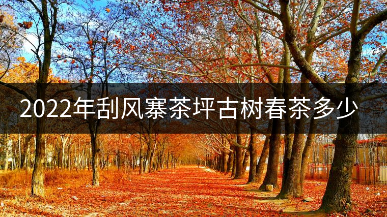 2022年刮風寨茶坪古樹春茶多少錢一公斤？